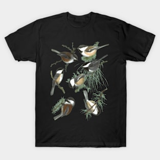 Chickadee T-Shirt